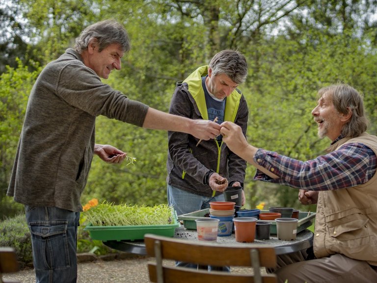 drei Maenner arbeiten zusammen im Garten